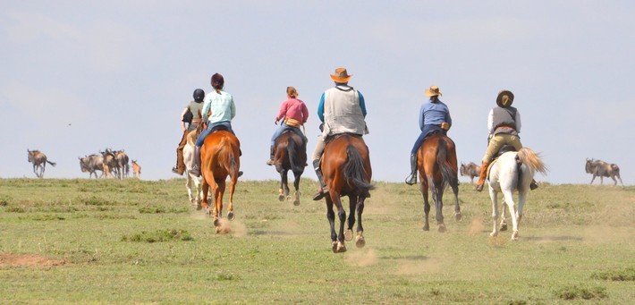 Safari à cheval en Tanzanie : la grande migration du Serengeti