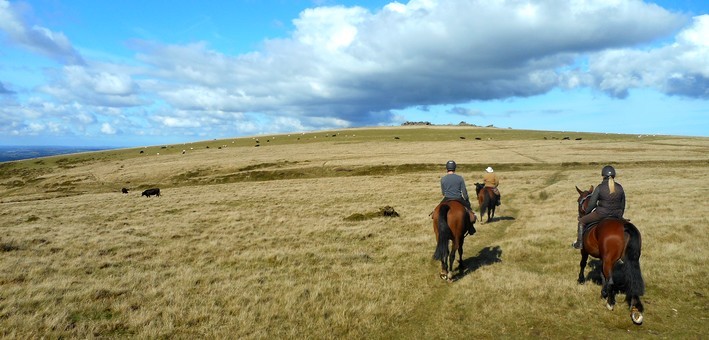 Randonnée équestre western dans le parc du Dartmoor en Angleterre