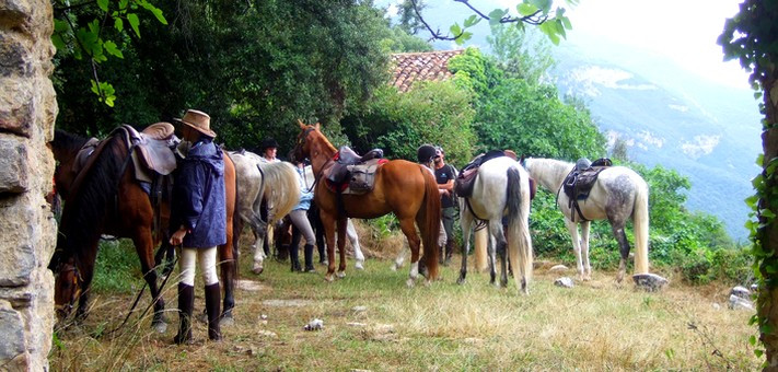 Randonnée en compagnie du bétail en Catalogne - Caval&go