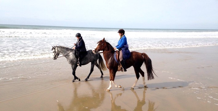 Randonnée à cheval entre terre et mer, au coeur du Médoc - Caval&go