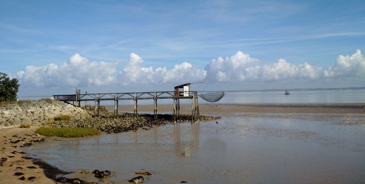 Randonnée à cheval entre terre et mer, au coeur du Médoc - Caval&go