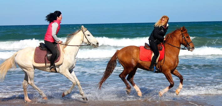 Randonnée à cheval entre mer et prairies en Catalogne - Caval&go