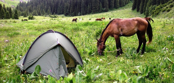 Voyage à cheval en Kirghizie : yoga et vie nomade - Caval&go