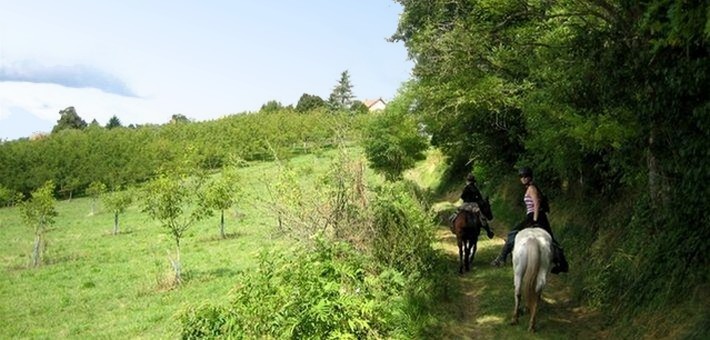 Randonnée à cheval dans la Vallée des Châteaux