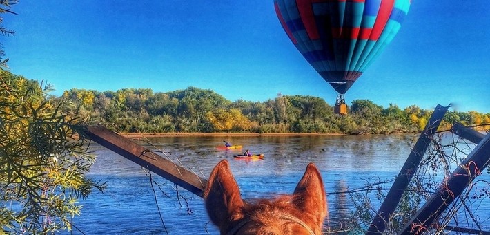 Randonnée_équestre_Nouveau_Mexique_festival_des_Montgolfières