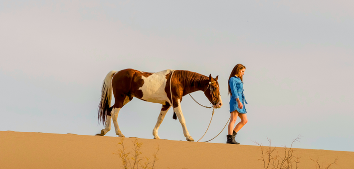 Séjour en conscience avec le cheval : yogathérapie, méditation, ayurveda et équitation respectueuse - Caval&go