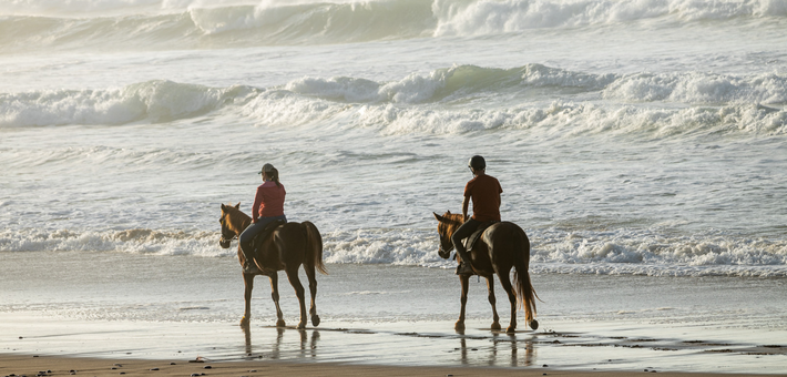 Séjour en conscience avec le cheval : yogathérapie, méditation, ayurveda et équitation respectueuse - Caval&go