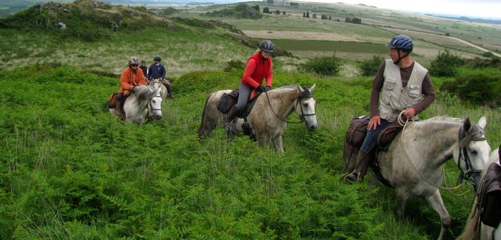 Randonnée à cheval sur les crêtes des Monts d