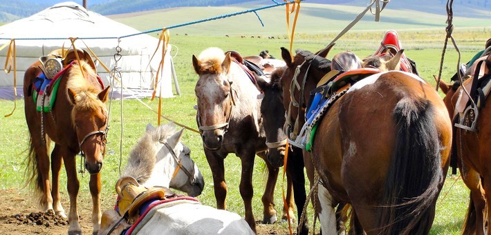 Randonnée à cheval en Mongolie - La province de Zavhkan