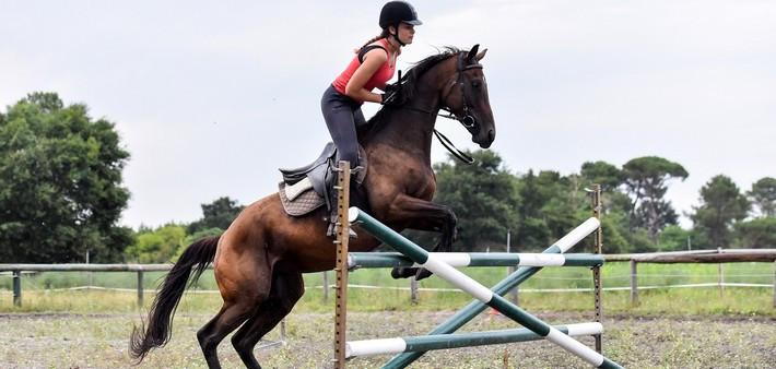 Séjour linguistique à cheval pour ados (12-18 ans) sur la Côte Atlantique - Caval&go