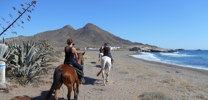 Initiation à l’équitation et balade à cheval en Andalousie