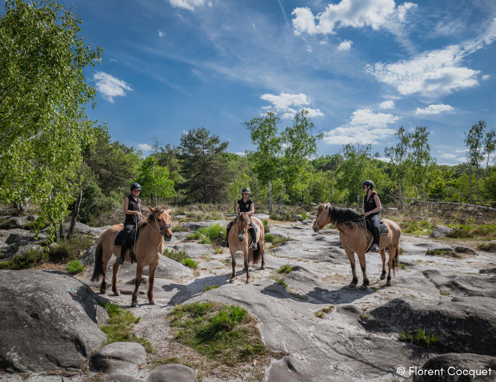 FRANCE A CHEVAL - Randonnée équestre, week-end à cheval, stages, randos  juniors - Par Randocheval