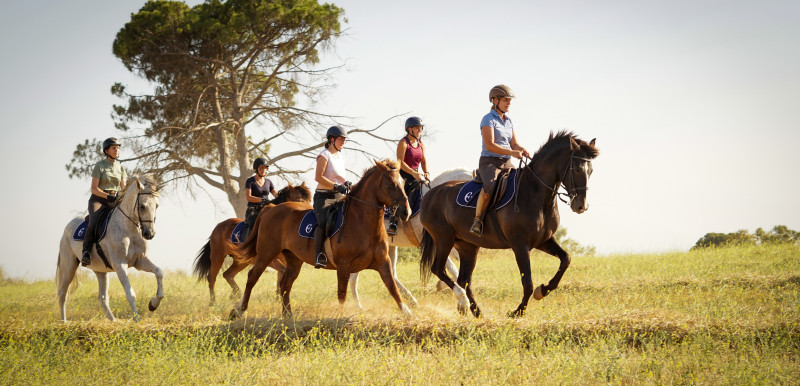 Stage de dressage et randonnée équestre à Séville - Caval&go