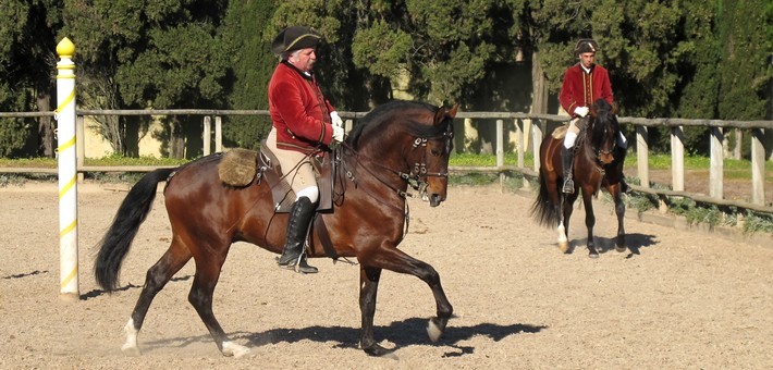 Equitation de dressage Haute Ecole au Portugal