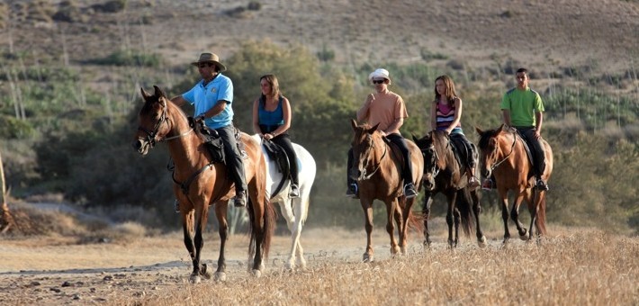 Initiation à l’équitation et balade à cheval en Andalousie - Caval&go