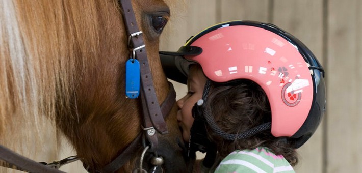 Equitation en famille et découverte du cheval islandais