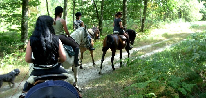week-end équitation en forêt d