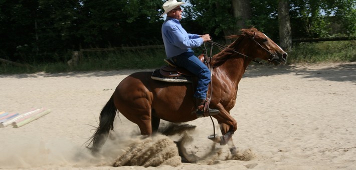 Equitation western à Fontainebleau