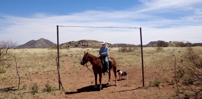 Rando Western et travail de bétail en ranch - Arizona
