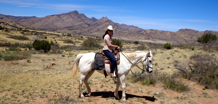 Randonnée équestre et travail de bétail en Arizona