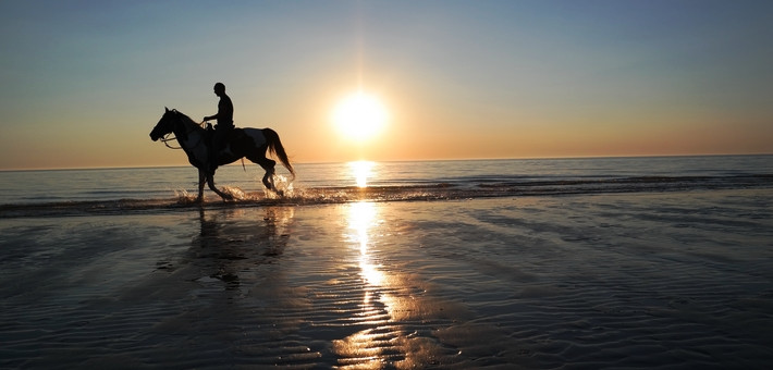 Escapade à cheval sur les plages vierges d