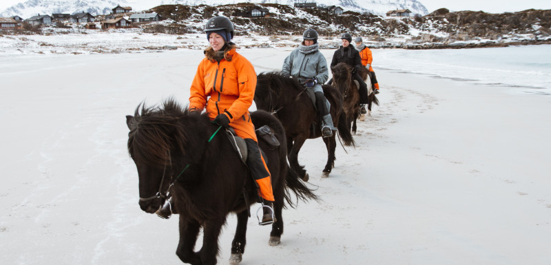 Escapade à cheval dans les îles Lofoten - Caval&go