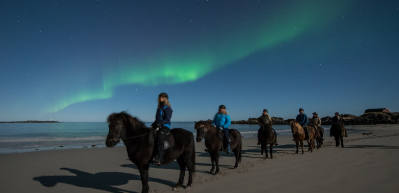 Escapade à cheval dans les îles Lofoten - Caval&go