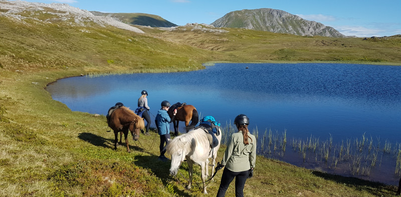 Escapade à cheval dans les îles Lofoten - Caval&go