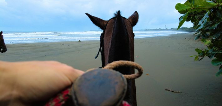 Aventure équestre de la côte Pacifique à la côte Caraïbes au Costa Rica - Caval&go