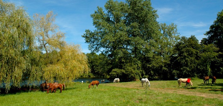 Raid équestre du Périgord à la Côte Atlantique, entre châteaux et vignobles - Caval&go