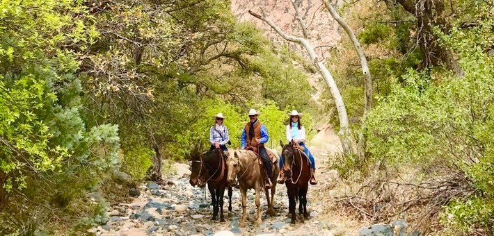 Voyage équestre en ranch à la découverte de l’ouest américain - Caval&go