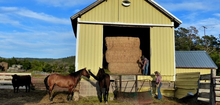 Ranch de travail et équitation western au Wyoming