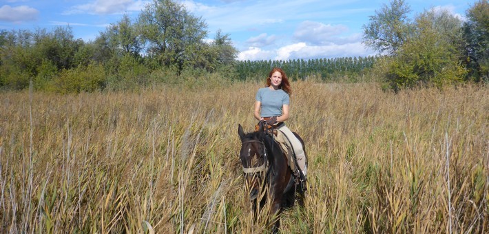 Randonnée à cheval en étoile au coeur de la Puszta hongroise - Caval&go