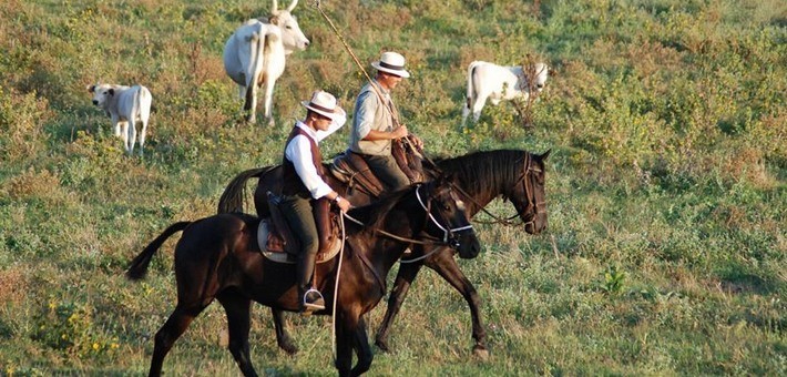 Randonnée équestre chez les butteri en Lazio