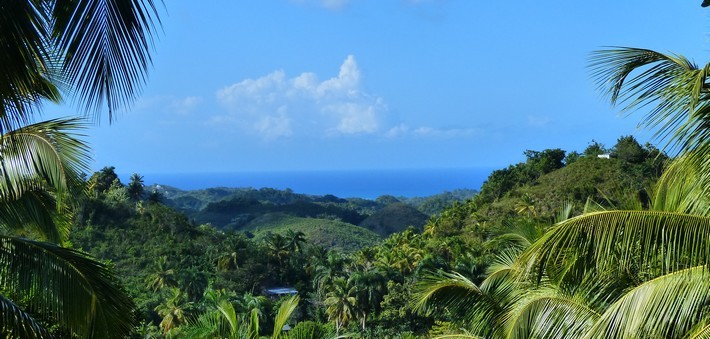 Rando cheval Caraïbes en Rep Dom