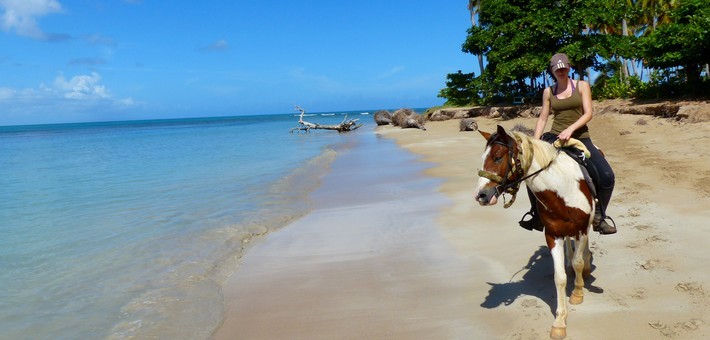 Rando cheval Caraïbes en Rep Dom