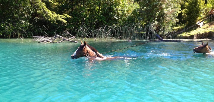 Randonnée à cheval dans la vallée de Puelo au Chili