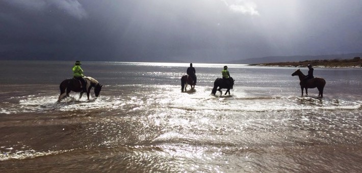 Randonnée à cheval en Ecosse sur la côte d'Argyll
