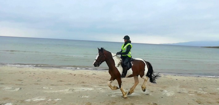 Escapade à cheval sur la côte d