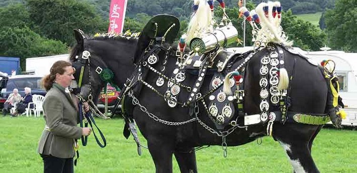 Randonnée équestre et fêtes locales au Dartmoor