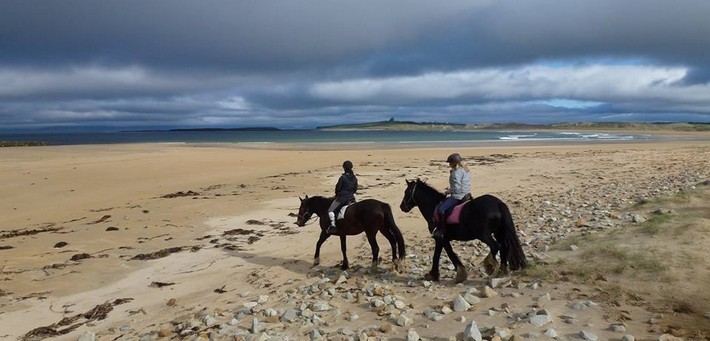 Séjour équestre sur la côte Atlantique en Irlande - Caval&go