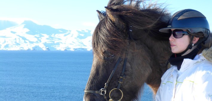 Randonnée à cheval en Islande l'hiver