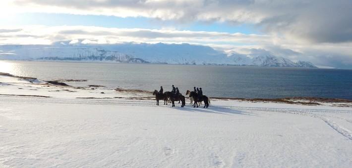 Randonnée à cheval en Islande l