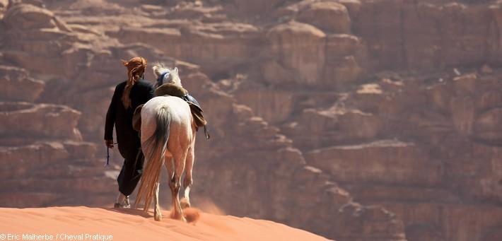 Randonnée équestre dans le Grand Désert de Jordanie - Caval&go