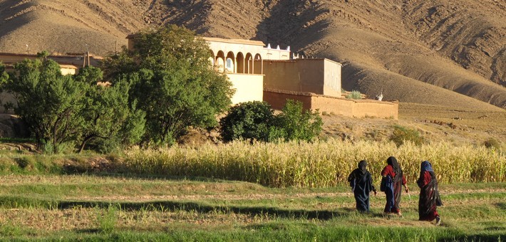 randonnée équestre au Maroc, dans la vallée des roses