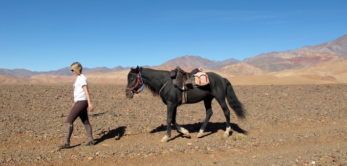 randonnée équestre au Maroc, dans la vallée des roses