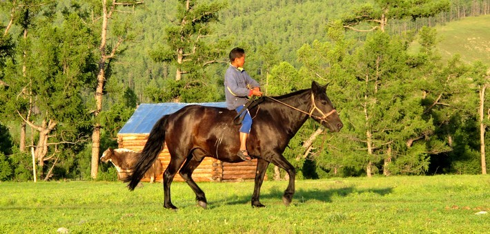 rando cheval en Mongolie