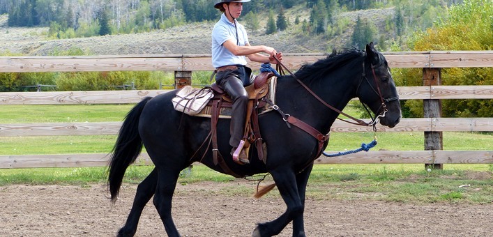 Randonnée équestre dans les montagnes du Wyoming et séjour en ranch - Caval&go