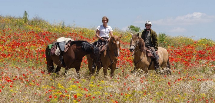 Randonnée équestre au Portugal, sur la route des Lusitaniens