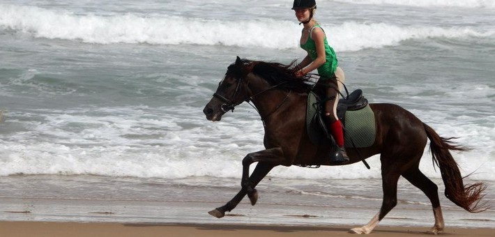 Randonnée à cheval sportive dans le Sud Marocain